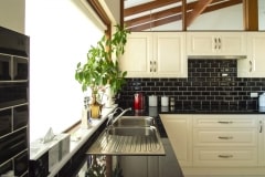 left shot of kitchen renovation with green plant in background